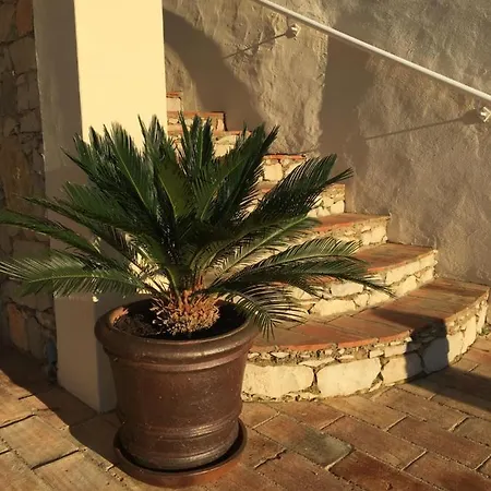 Bed and Breakfast Felicidade 4*