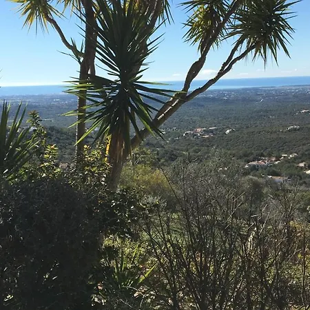 Felicidade 4* Λουλέ