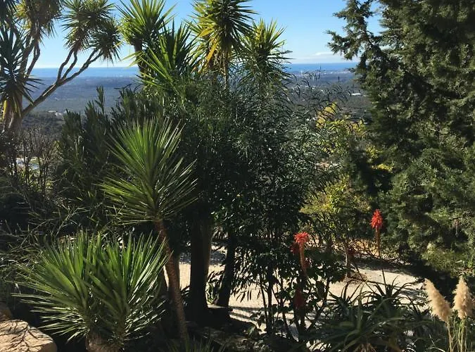Felicidade Panzió Loulé