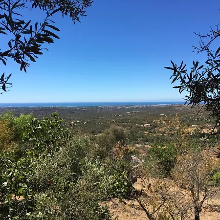 Bed & Breakfast Felicidade Loulé