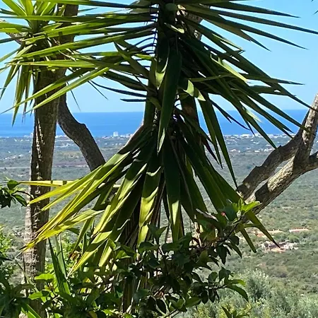 Bed & Breakfast Felicidade